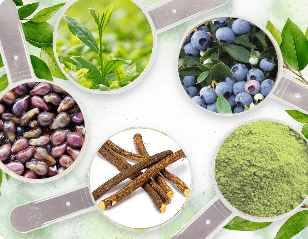 Neuro Serge Ingredients